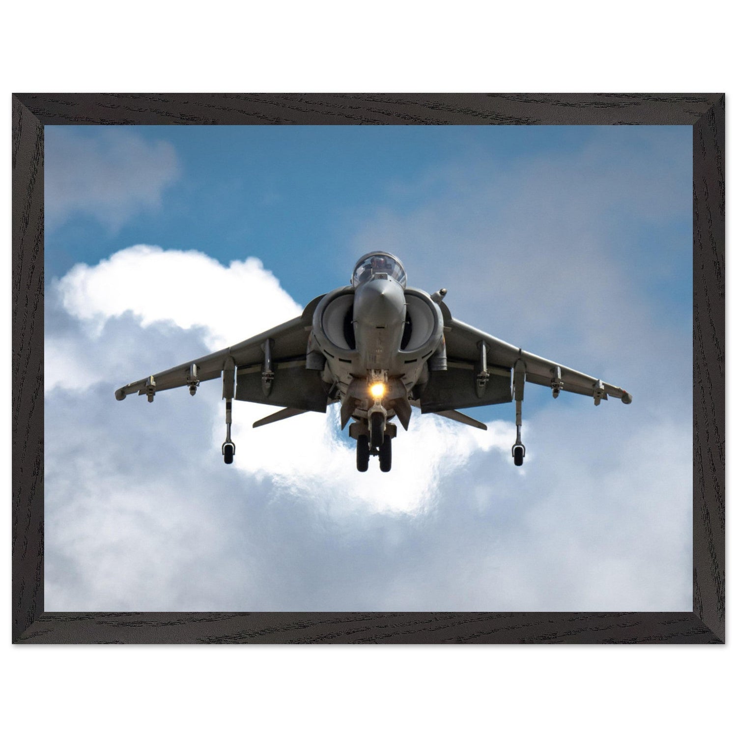 Fine Art Framed Prints