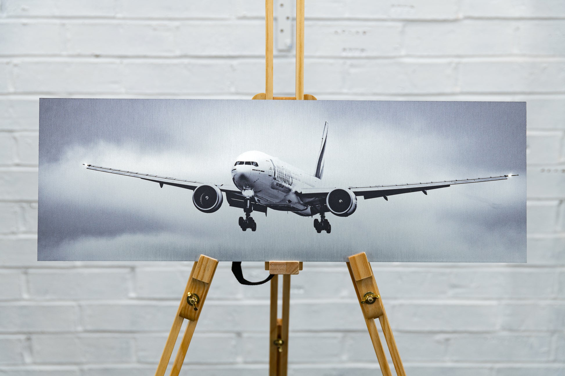 Front-on view of the full panoramic aluminium print on a studio easel, pristine ex-display condition.