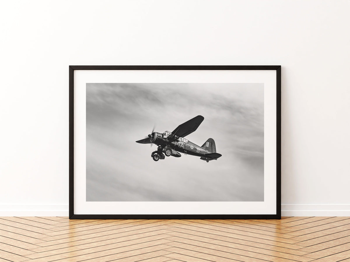 Westland Lysander banking under a streaked sky, black and white, aviation photo wall art print in a black frame