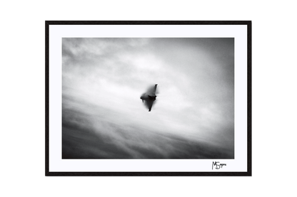 Close-Up of RAF Eurofighter Typhoon Signed Print – High-Quality Detail