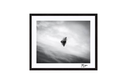 RAF Eurofighter Typhoon Limited Edition Signed Print – Aviation Art