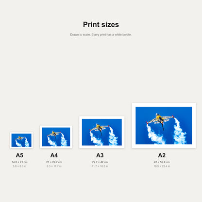 Tiger Tails print shown at A5, A4, A3 and A2 to scale, wall art size guide
